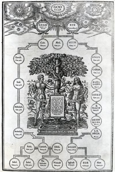 Stamboom van Adam en Eva, 1556 door English School